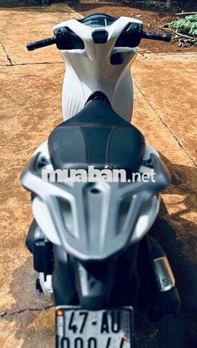 Honda SH Trắng Xe tay ga