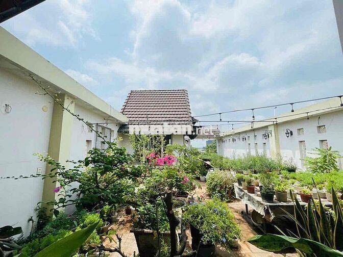 Cho Thuê MB 1Trệt 3Lầu - (vị trí trung tâm) đường Nguyễn Ái Quốc- 65tr