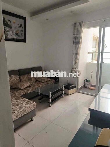 Cho thuê căn hộ full nội thất cao cấp, chung cư Plaza Pegasus, trung t