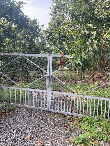 Bán Đất Rẫy xã La Ngà TP Đồng Nai 