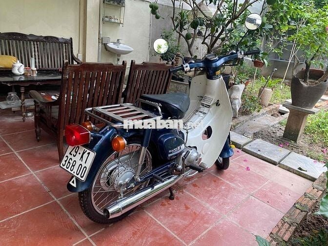 Honda Cub 81/89/70 Xanh, Trắng Nguyên bản