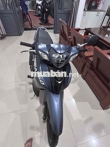 Elegant 50cc Xám