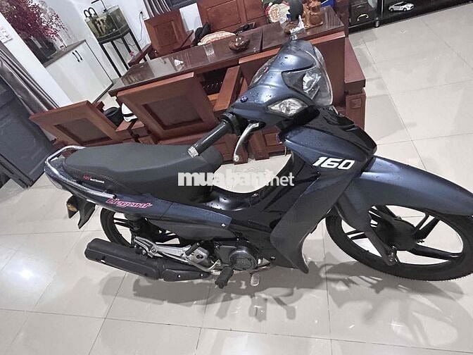 Elegant 50cc Xám