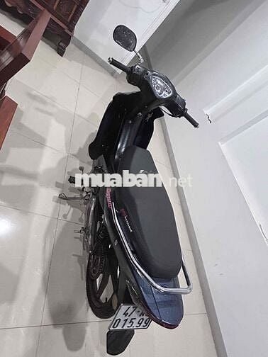 Elegant 50cc Xám