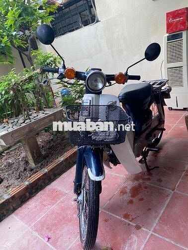 Honda Cub 81/89/70 Xanh, Trắng Nguyên bản