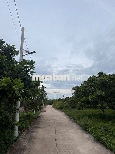 Bán đất chính chủ có nhà, có 200m2 thổ cư tại xã Hàm Tân, Lâm Đồng