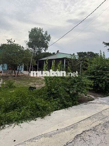 Bán đất chính chủ tại xã Hàm Tân, tỉnh Lâm Đồng