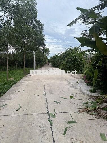 Bán đất chính chủ tại xã Hàm Tân, tỉnh Lâm Đồng