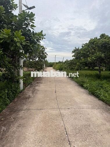 Bán đất chính chủ có nhà, có 200m2 thổ cư tại xã Hàm Tân, Lâm Đồng