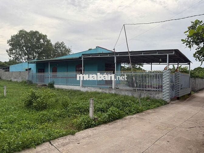 Bán đất chính chủ có nhà, có 200m2 thổ cư tại xã Hàm Tân, Lâm Đồng
