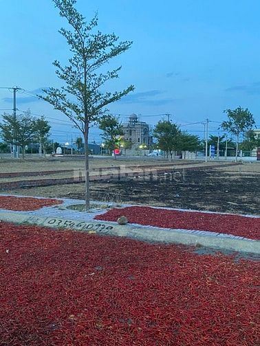 CHÍNH CHỦ CẦN BÁN ĐÁT CÁT KHÁNH GIÁ 770 TRIỆU