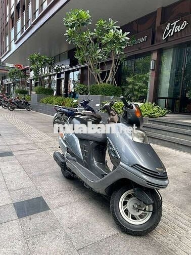 Honda Freeway 250 Xám Ít sử dụng