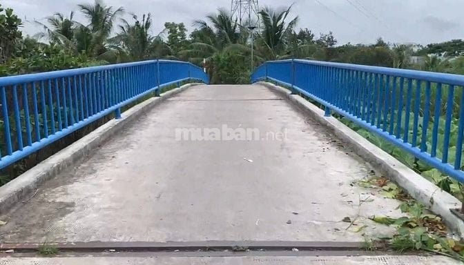 Bán đất nền gần bệnh viện Nhi Đồng thành phố, trường đại học Y Khoa Ph