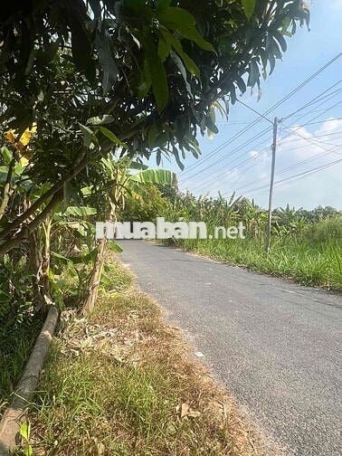 Ngân hàng thanh lý lô đất full thổ cư Kinh Lộ Mới, Mỹ Tân, Cao Lãnh