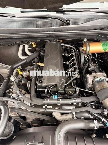 Ford Ranger Wildtrak 2017 Dầu Tự động Cam 80000 km