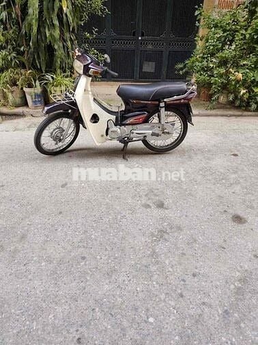 Honda Dream 50cc Nâu, Trắng