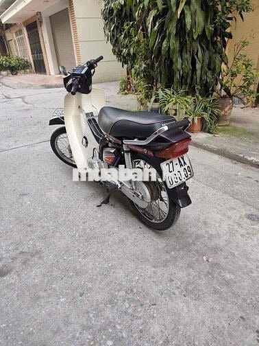 Honda Dream 50cc Nâu, Trắng