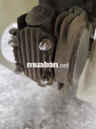 Honda Dream 50cc Nâu, Trắng