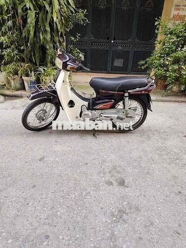 Honda Dream 50cc Nâu, Trắng