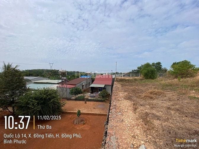 Công ty đấu giá hợp danh Sao Việt 