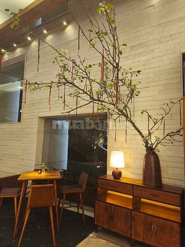 Nơi Bán Bình Gốm Cỡ Lớn Tại TP.HCM Giá Tốt, Nhiều Mẫu Đẹp - Gốm Sứ FUL