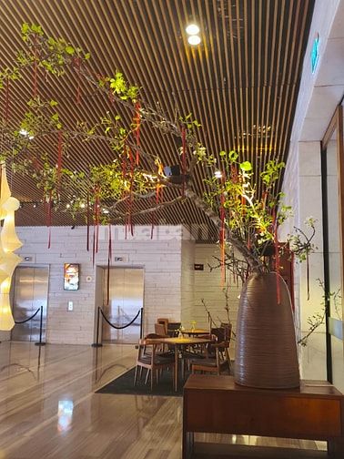 Nơi Bán Bình Gốm Cỡ Lớn Tại TP.HCM Giá Tốt, Nhiều Mẫu Đẹp - Gốm Sứ FUL