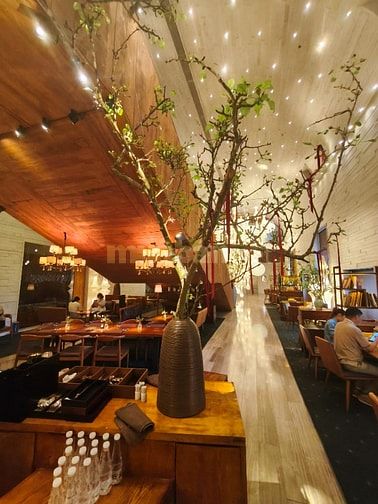 Nơi Bán Bình Gốm Cỡ Lớn Tại TP.HCM Giá Tốt, Nhiều Mẫu Đẹp - Gốm Sứ FUL