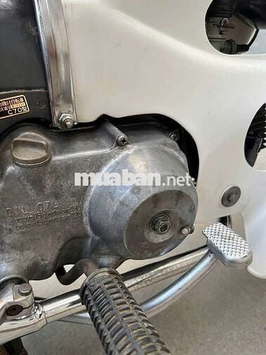 Honda Cup 70 Trắng, Xám Đã sử dụng