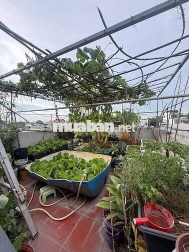 Bán gấp Nhà MT Nguyến Đức Thiệu 4 x 16m, T+2L,ST, 6.8 tỷ