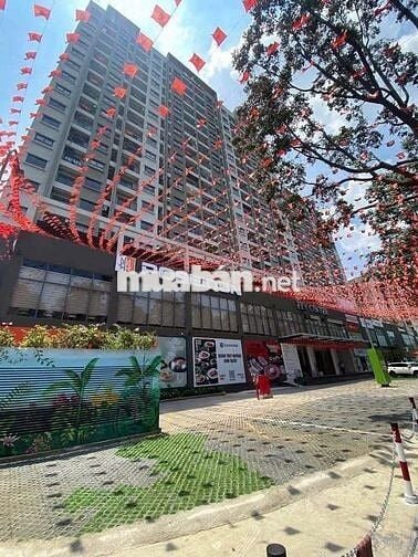 CHO THUÊ CĂN HỘ CHUNG CƯ A6A7 PHƯỜNG TRẤN BIÊN GIÁ 7 TRIỆU