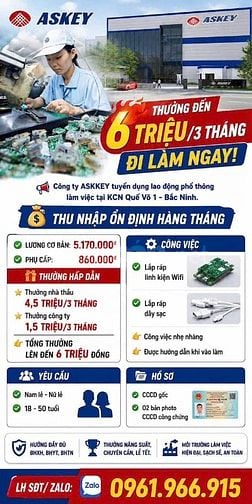 Tuyển Dụng Lao Động Đi Làm Ngay