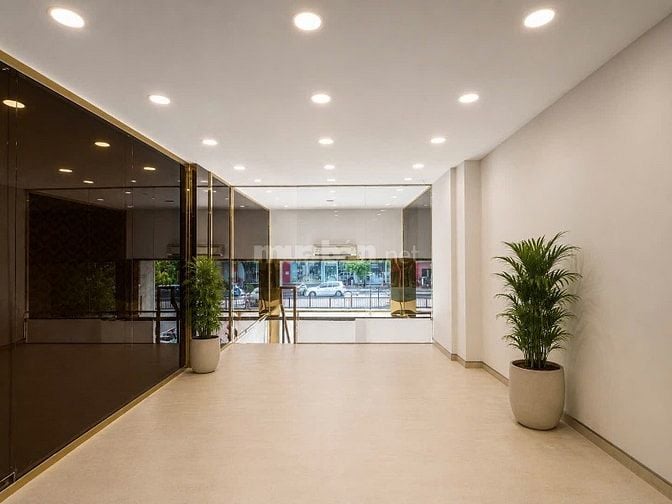 MBKD 50m2 101 Nguyễn Văn Trỗi PN