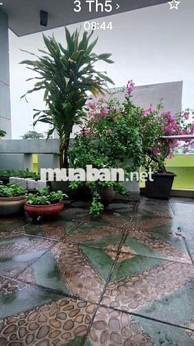 NHÀ VỊ TRÍ TUYỆT ĐẸP GÒ VẤP CẦN BÁN