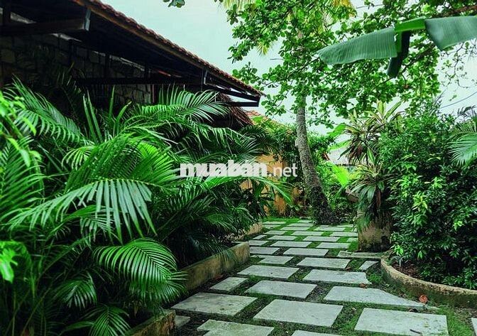 Tuyển tạp vụ buồng phòng - Phú Quốc