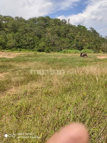 Bán đất mặt tiền tỉnh Lâm Đồng