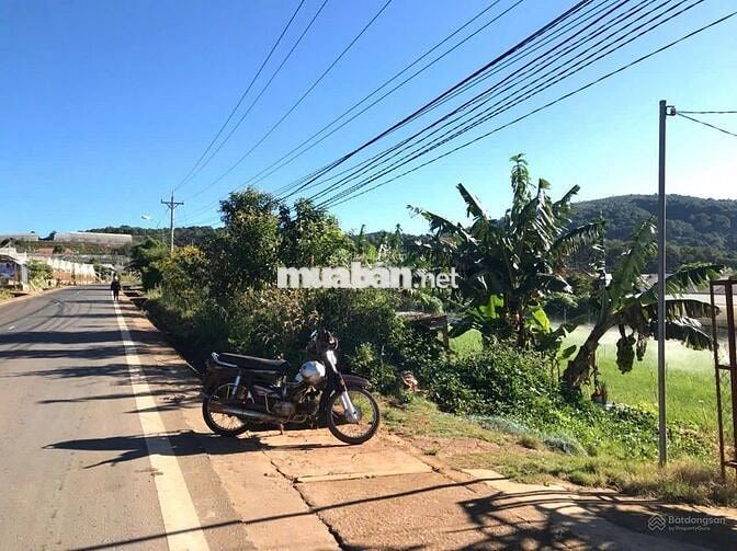 Đất ONT mặt tiền Quốc Lộ 725 Tà Nung, Đà Lạt. 