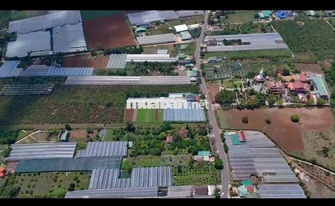 Đất ONT mặt tiền Quốc Lộ 725 Tà Nung, Đà Lạt. 