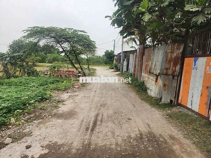Đất hẻm xe hoi thông bà điểm 4 gần phan van hớn dt 200m thổ cư 90m 5m