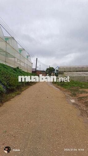 Hơn 2200m2 đất view đồi thung lũng, chia 4 lô, mỗi lô 300m2 thổ cư