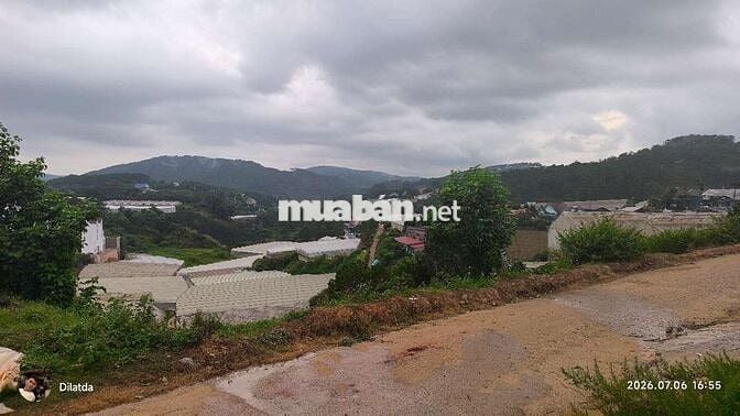 Hơn 2200m2 đất view đồi thung lũng, chia 4 lô, mỗi lô 300m2 thổ cư
