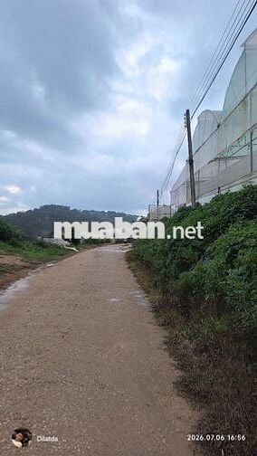 Hơn 2200m2 đất view đồi thung lũng, chia 4 lô, mỗi lô 300m2 thổ cư