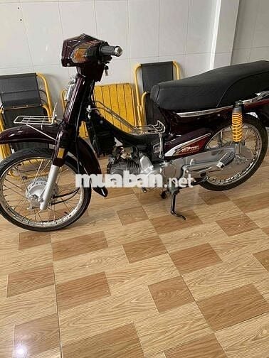 Honda Super Dream 2001 Nâu Sài Gòn