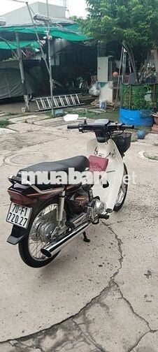 Honda Super Dream 1998 Trắng đen