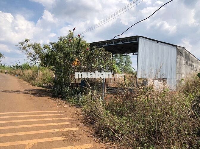 Bán lỗ lô đất 1200m2 giá 1.2 tỷ