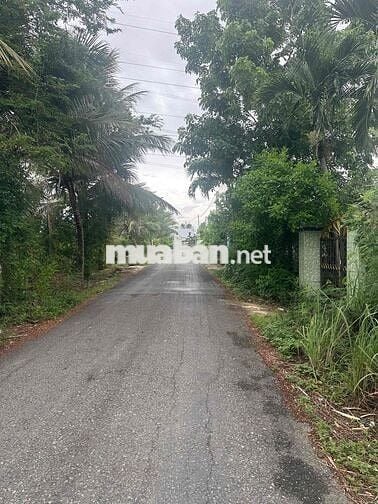 Đất gần HL20 mặt tiền nhựa dt 145m2(5,3x28)full thổ shr Giá 600tr