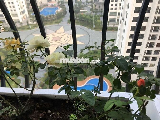Giá Tốt. Cho thuê căn hộ An Bình Phạm Văn Đồng 3PN 84m² Full nội thất.