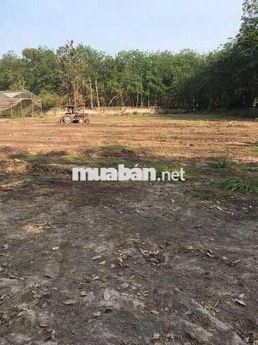 Chính chủ xuất cảnh cần bán gấp lô đất hơn 6300m2