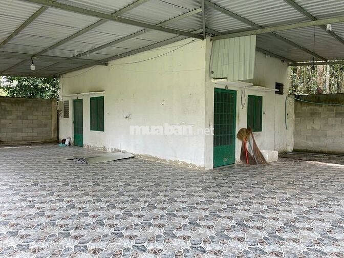Chính chủ xuất cảnh cần bán gấp lô đất hơn 6300m2