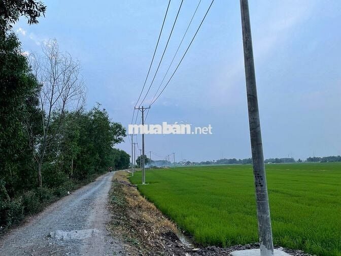 Đất nông nghiệp mặt tiền kênh T3, 45m x 176m, 3.2tr
