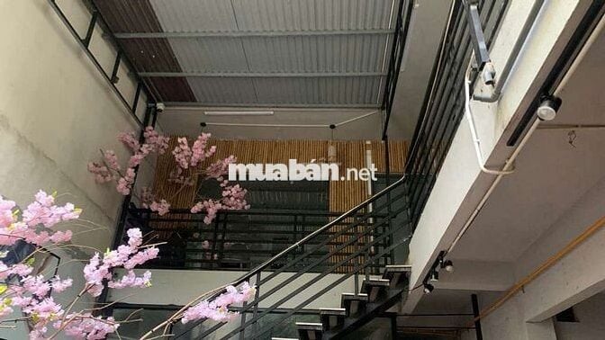 Cho thuê mặt bằng kinh doanh đường Bình Minh 1 , Hải Châu